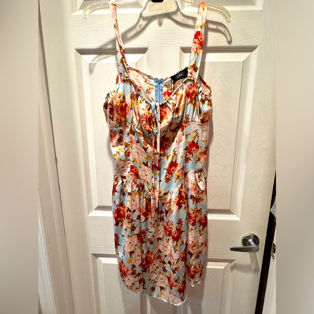 NTW blue / pink floral dress